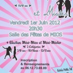 affiche mini miss