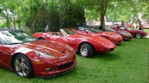 corvettes