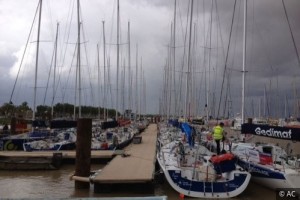 solitaire pauillac