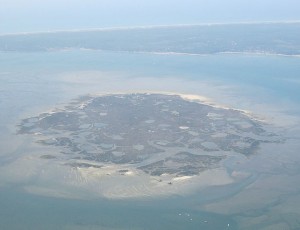 ile aux oiseaux