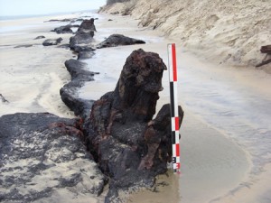 Vestiges_enfouis_sous_la_dune