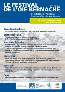 flyer-festival-bernaches-affiche-web