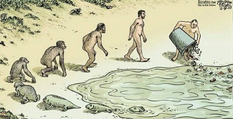 evolution de l' homme