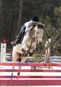 saut equestre