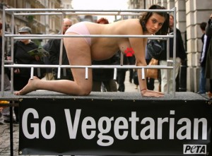 go vegetarian