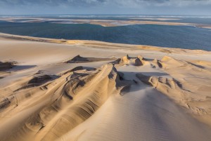 Dune et arguin CV 6