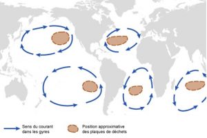 continents plastiques