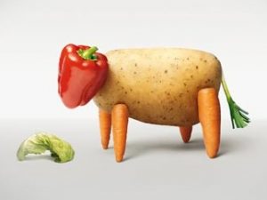 vegan vache