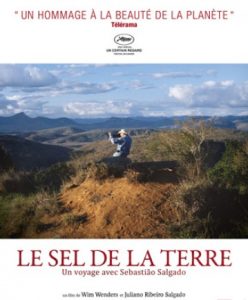 le sel de la terre