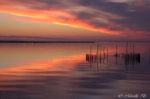 Miireille Bleriot coucher de soleil