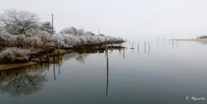 fabien maurin givre port de gujan