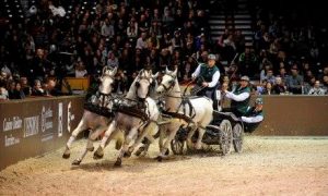 jumping 2017 chariots de feu