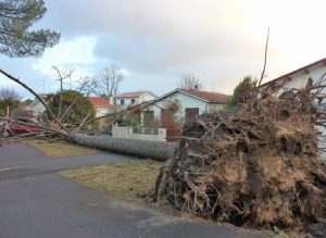 tempete FC arbre couche