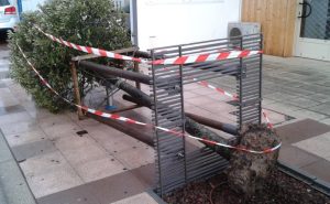 tempete arbre couche rue pietonne andernos