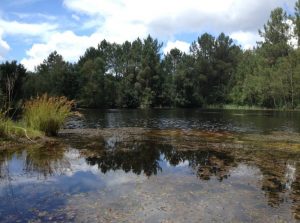 audenge marais de mesple