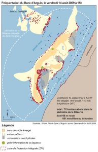 frequentation banc d'arguin