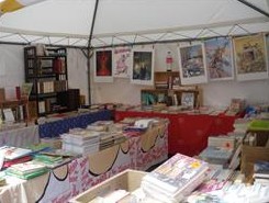 marche aux livres moulleau