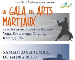 gala arts martiaux audenge