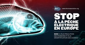 stop peche electrique