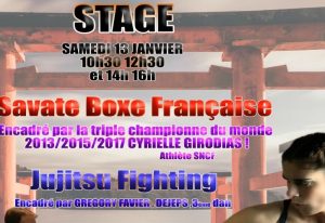 biganos stage boxe f