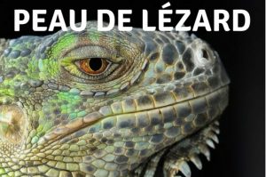 ludivine peau seche lezard