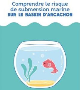 siba expo submersion