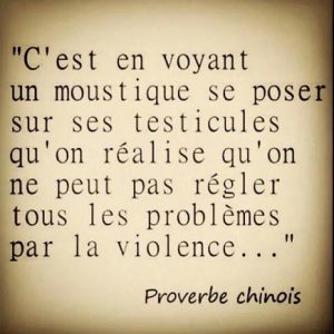 moustique prov chinois