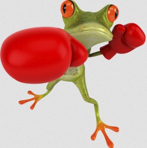 grenouille boxe