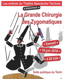 theatre le teich chirurgie zygo