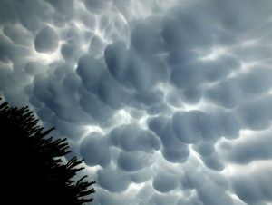 cumulus mamatus p campagne