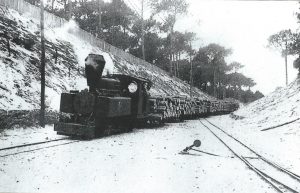 LE TRAIN DANS LA DUNE