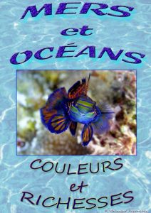 gujan mer et oceans ressouches