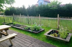 potager mediatheque photo LValette