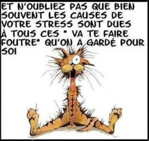 chat stress