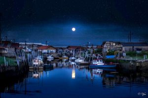 bassin port de nuit j marc valette 2