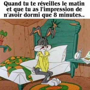 lapin sommeil idp filipe