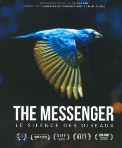 the messenger le sience des oiseaux