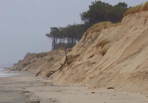 fabien tempete dune la teste sophie