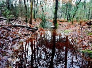 saturation fosses ruisseaux inondation