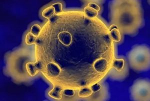 coronavirus photo