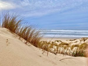 plage Thierry Cecchinato