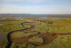 Ottal ile oiseaux 1