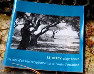 Le betey plage boisée