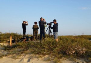 observation oiseaux cap ferret lpo