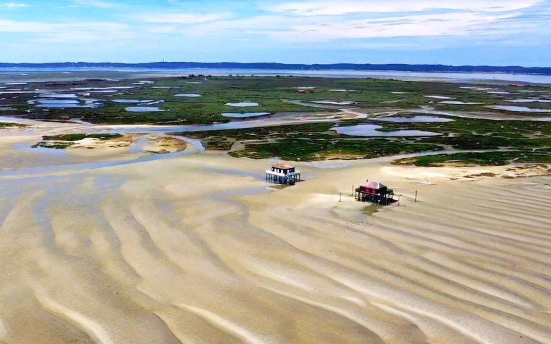 Survol video du Bassin d’Arcachon nature avant le deconfinement. Des moments rares…