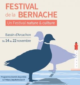 festival bernache