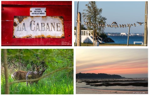 Les charmes du Bassin en une galerie de 10 photos et vidéo (et plus si affinités)…