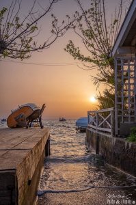 cap ferret martine C