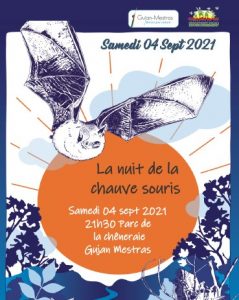 La nuit de la chauve souris