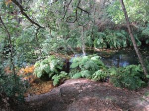 canal des landes